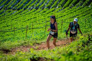 BIB: 
                            <button type="button" onclick="openModal(19163000)" class="btn btn-primary btn-sm float-right btn-popup" data-toggle="modal" data-target=".modal-high-quality">
                        <i class="fas fa-shopping-cart"></i> Add to Cart
                    </button>
                                            <button type="button" onclick="isThisMe(19163000, true)" class="btn btn-success btn-sm float-right btn-popup btn-isme hidden" data-toggle="tooltip" data-placement="bottom" title="นี่คือรูปของคุณใช่ไหม คลิกที่นี่เพื่อเอาเข้าอัลบั้ม">
                        <i class="fas fa-plus"></i> Add to album
                    </button>
                    <button type="button" onclick="isThisMe(19163000, false)" class="btn btn-warning btn-sm float-right btn-popup btn-isnotme hidden">
                        <i class="fas fa-ban"></i> Remove from album
                    </button>